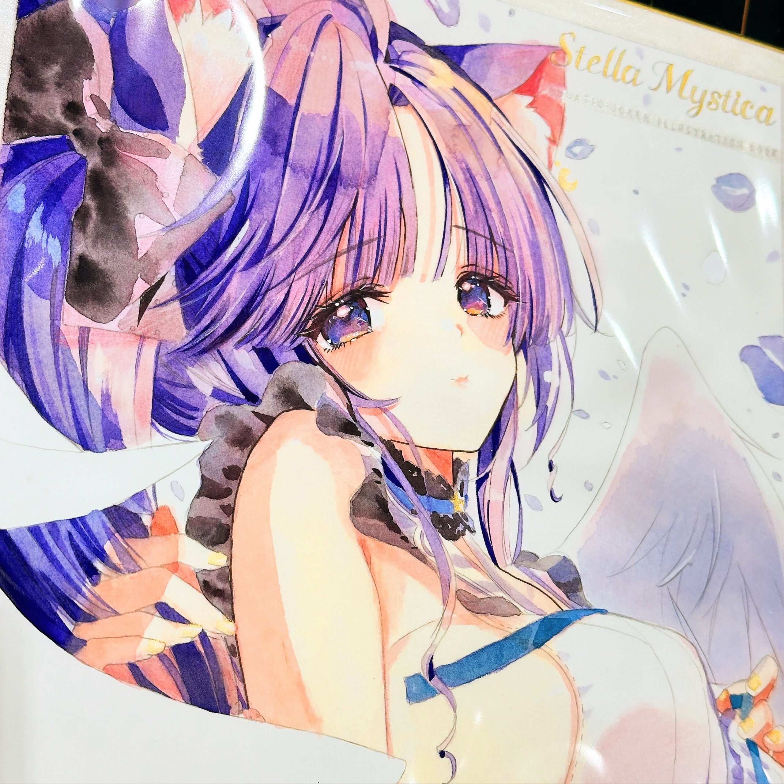 C106セマルグル色紙